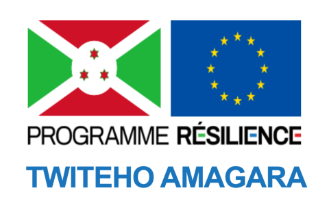 Programme resilience
